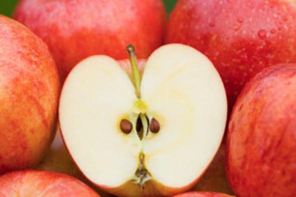 تناول تفاحة يومياً يحميك من الإصابة بالسكتة القلبية والدماغية