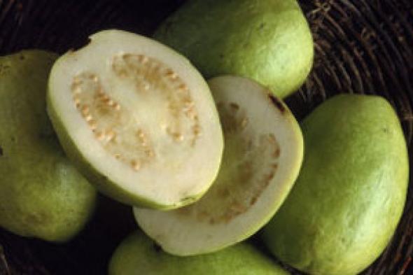 الجوافة تحمى الجسم من الإسهال وتقى من سرطان الرئة