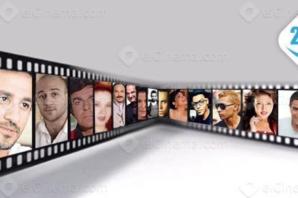 حصاد السينما المصرية 2013 (رؤية ساخرة)