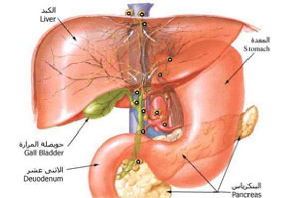 حالة الكبد تحدد.. انتظار الأدوية الجديدة أم الحالية لفيروس "سى"