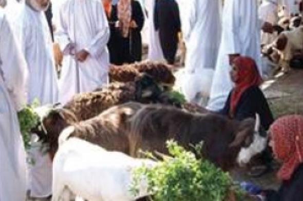 260 ألف عائلة عمانية تقود حياتهن نساء