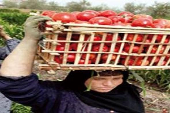 تضامن : النساء يغذين العالم وهن الأشد فقراً والأكثر تضرراً من التصحر