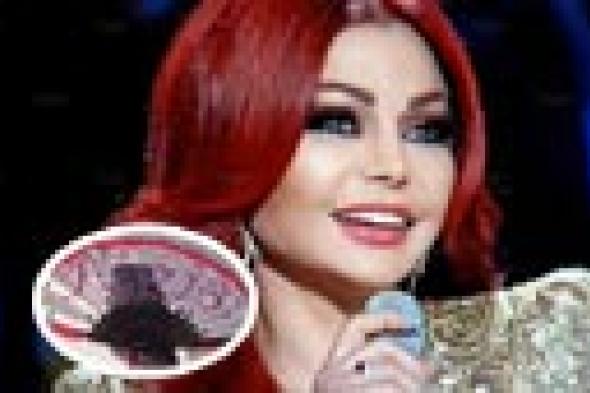 صورة: مروحة "فزيع" هدية لهيفاء وهبي في نهائي "شكلك مش غريب"