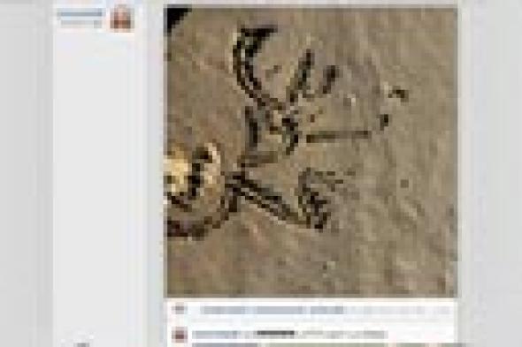 صورة: زينة تعبر عن حبها لـ"عز وزين" بالرسم