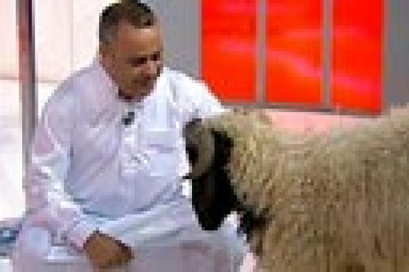 بالفيديو- جابر القرموطي يحتفل بعيد الأضحى في الأستوديو مع خروف