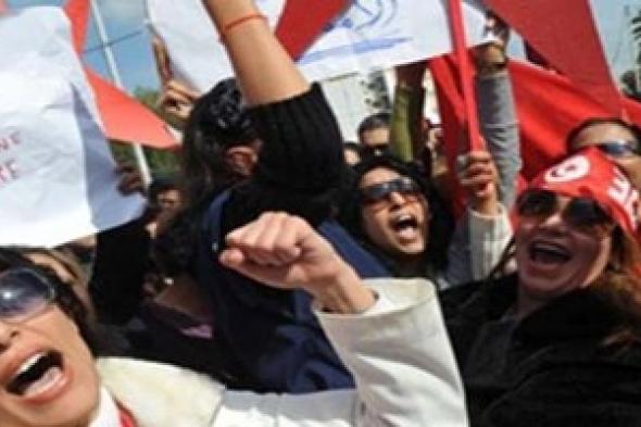 برنامج عمل لمناهضة العنف ضد المرأة التونسية في انتخابات 2014