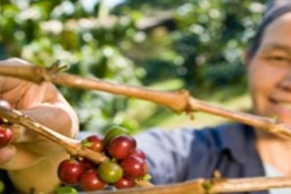 المرأة الريفية بين الموجود والمنشود قصة نضال