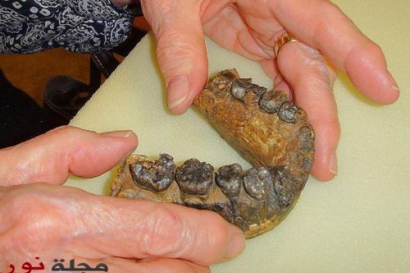 اكتشاف أقدم آثار للإنسان على سطح الأرض