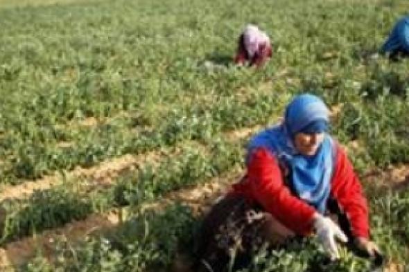 ‘فلسطينيات’.. نساء عاملات جعلن حياتهن أفضل