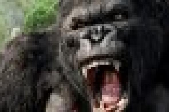 5 وحوش وكائنات غريبة أحبها الجمهور على شاشة السينما