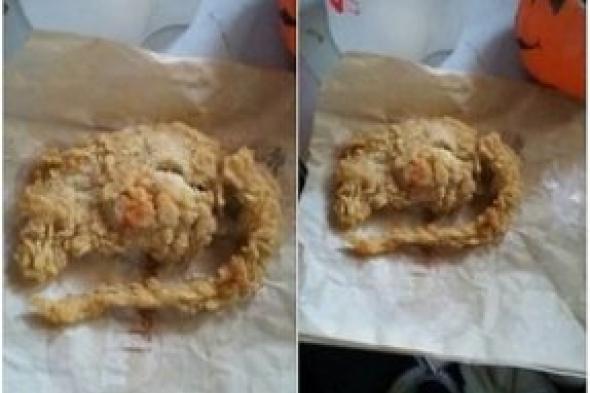 أمريكي يطلب وجبة دجاج فيحصل على ( فأر ) مقلي