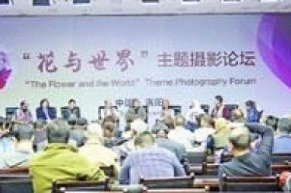 إماراتيات يحاورن العالم بالفن