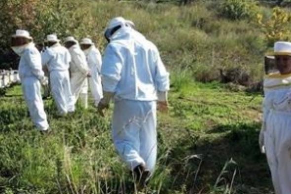 المرأة اللبنانية تستثمر في قطاع تربية النحل … تمكين اقتصادي ومساواة جندرية