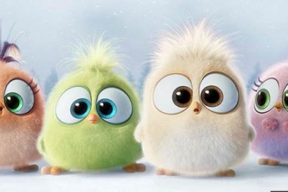 بالفيديو- Angry Birds يستعينون بصغارهم للترويج لفيلمهم الجديد