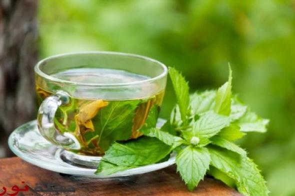 الإفراط في تناول الشاي الأخضر مضر بالجسم