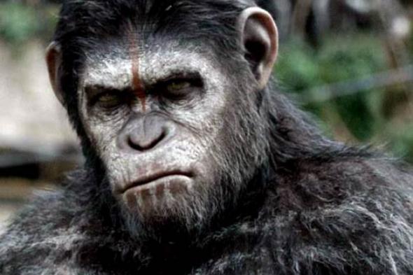 بالفيديو- الحرب تشتعل بين البشر والقردة في War for the Planet of the Apes