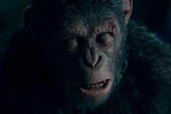 القرد سيزار يعود للانتقام في War for the Planet of the Apes