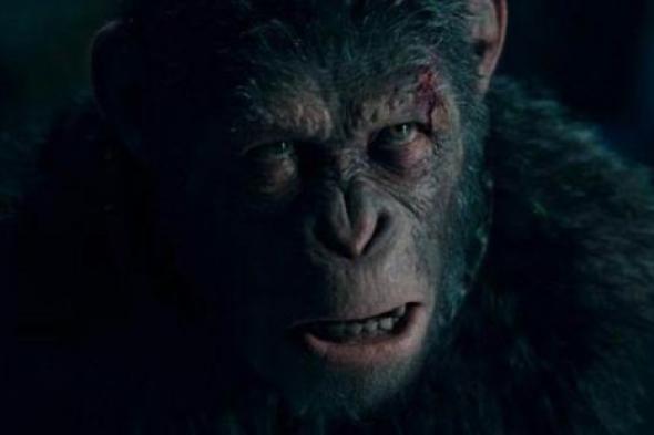 فيلم War For The Planet Of The Apes أخر أفلام سلسلة القرد "سيزر"