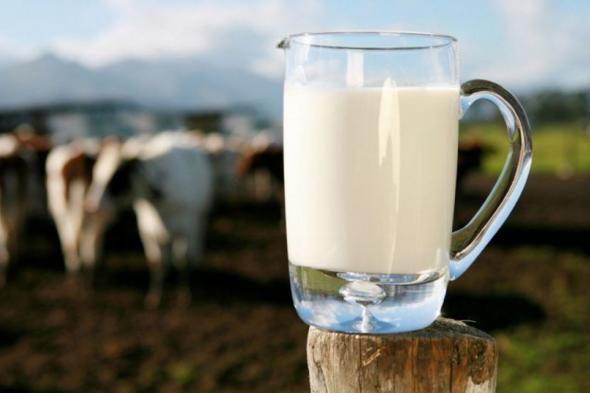 ما لا تعرفونه عن الحليب كامل الدسم وعلاقته بصحة القلب!