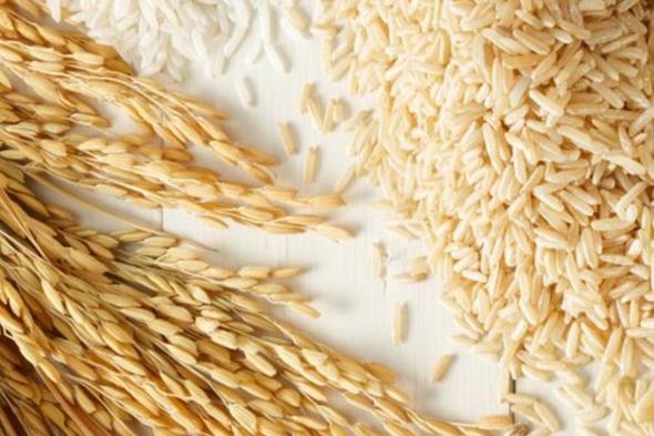 بحوثٌ علمية: نخالة الأرز تقي من السرطان