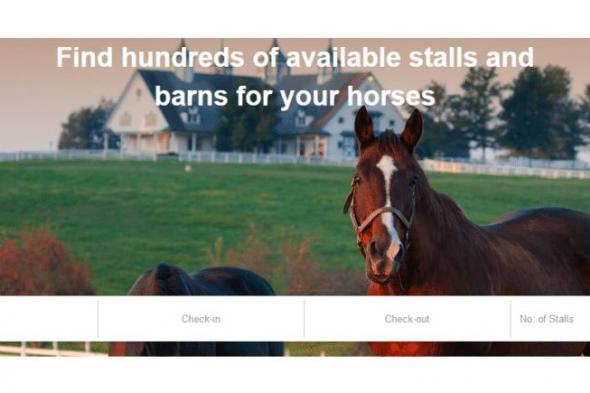 Staller منصة جديدة لتأجير إسطبلات الخيول على الإنترنت على غرار Airbnb