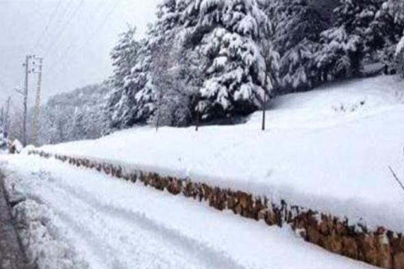 طريق عيناتا الأرز مقطوعة بسبب تراكم الثلوج وصعوبة الرؤية #لبنان 
#Lebanon24
 via @Lebanon24