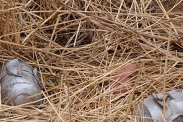 جريح بإنفجار قنبلة عنقودية في جبشيت 
#لبنان
#lebanon24
 via @Lebanon24