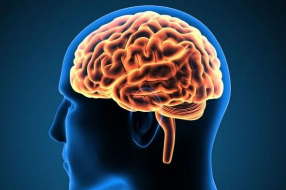 الجنس مفيد لتعزيز الذاكرة؟ 
#lebanon24
  via @Lebanon24