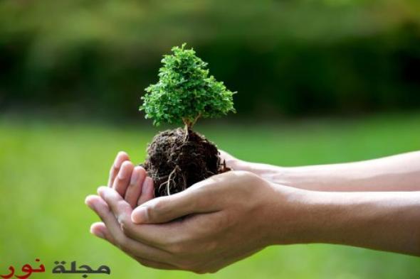 تنظيم حملة لغرس الأشجار بالمؤسسات التعليمية بإقليم برشيد