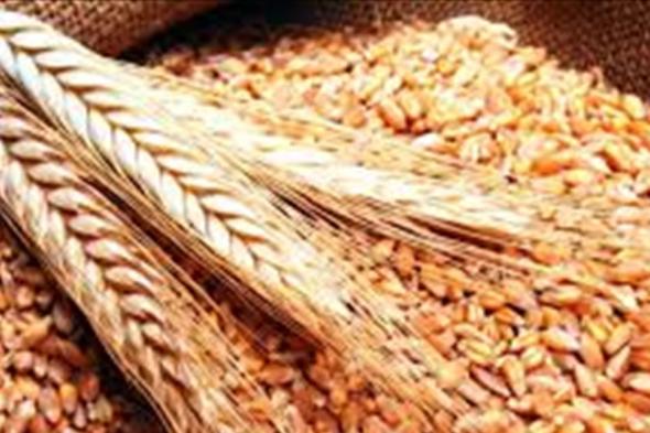 نقابة مزارعي القمح والحبوب: قرار رفع الدعم تعسفي وظالم
#lebanon24