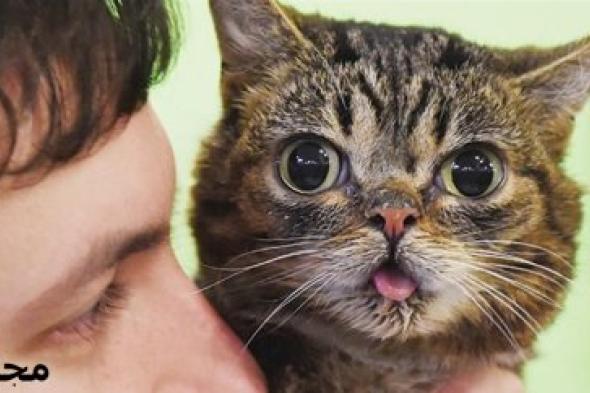 مركز علمي.. بات يمكنكم التحدُّث إلى حيواناتكم الأليفة !